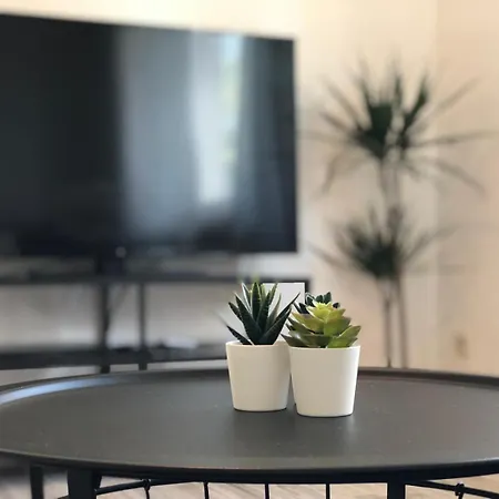 Home, Family And Business Elsteraue